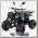 Квадроцикл бензиновый MOTAX ATV Grizlik-8 1+1