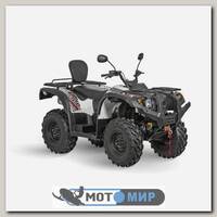 Квадроцикл Baltmotors ATV 500/700 EFI Trophy R